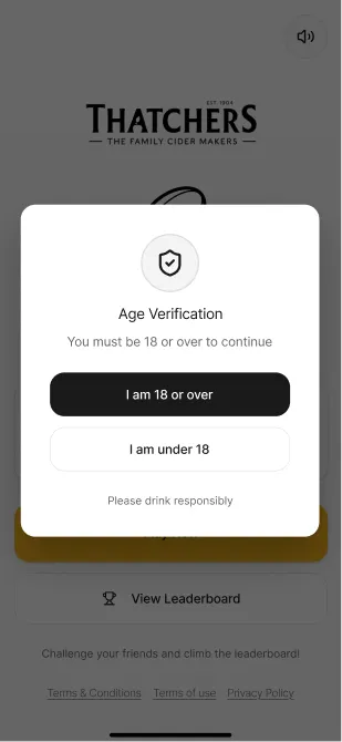 Wireframe of the age verification pop-up over the landing screen.